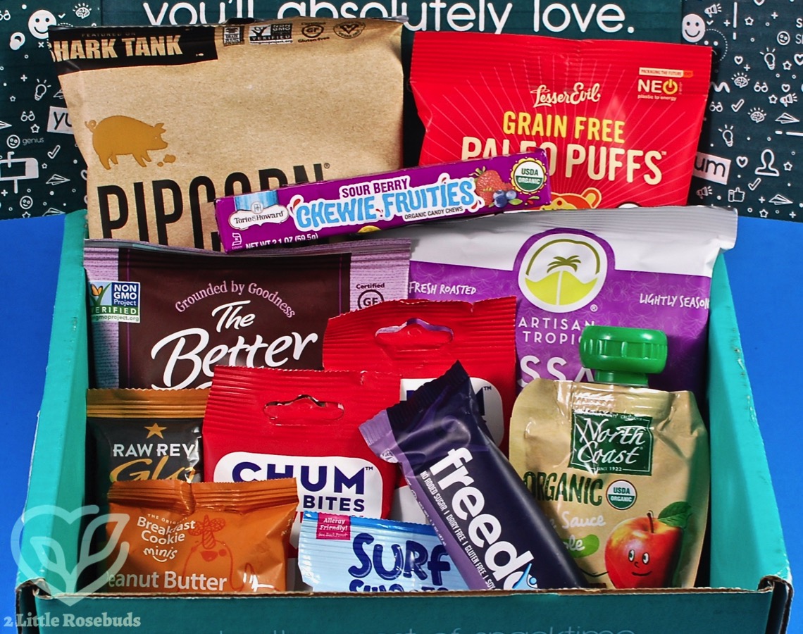 June 2019 SnackSack review