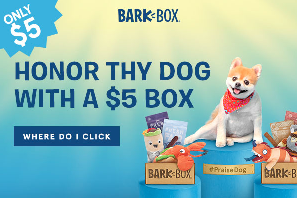 Barkbox coupon