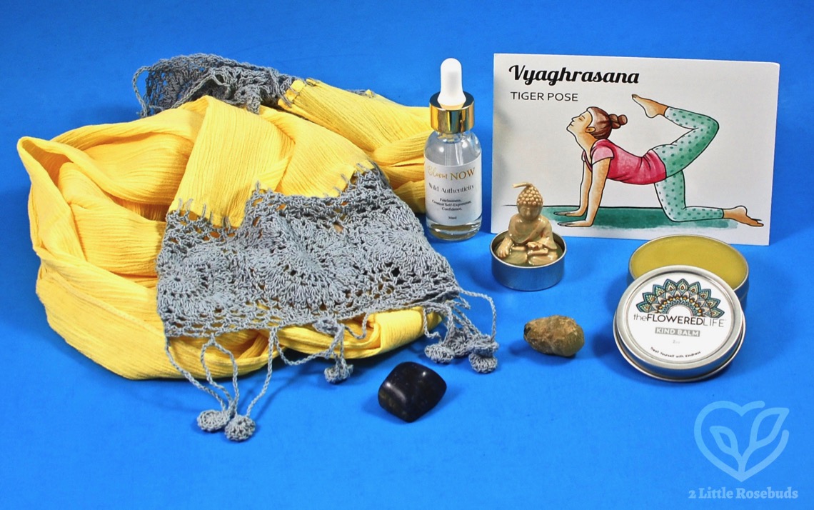 August 2019 BuddhiBox review