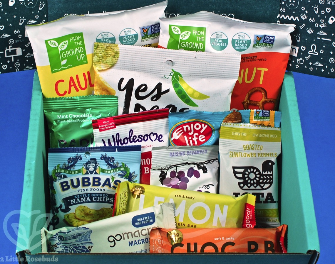 August 2019 SnackSack review