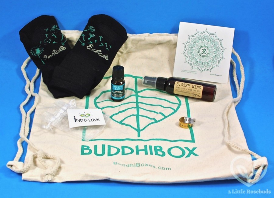 September 2019 Buddhibox review
