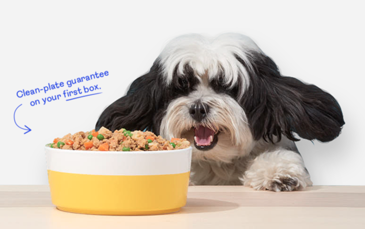 pet food subscription