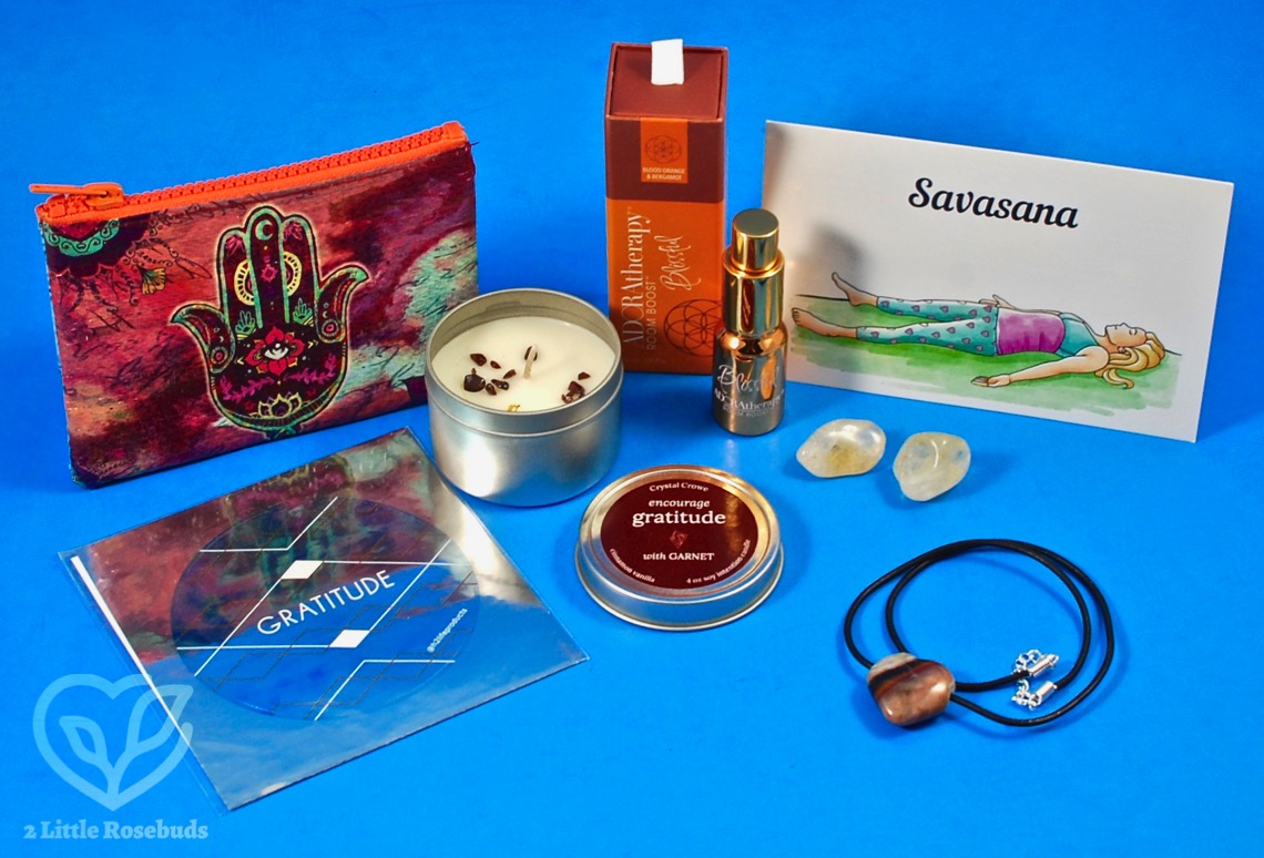November 2019 BuddhiBox review