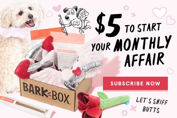monthly barkbox