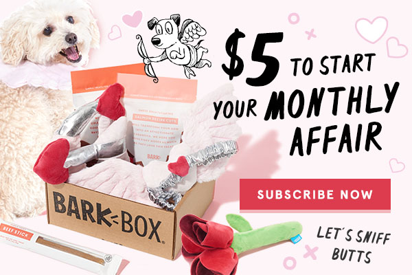 barkbox monthly payment