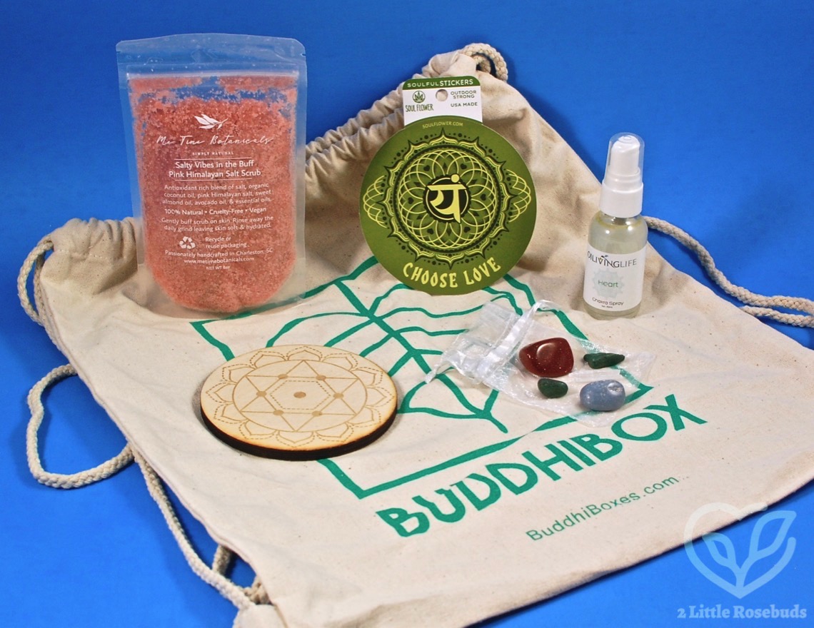 February 2020 Buddhibox review
