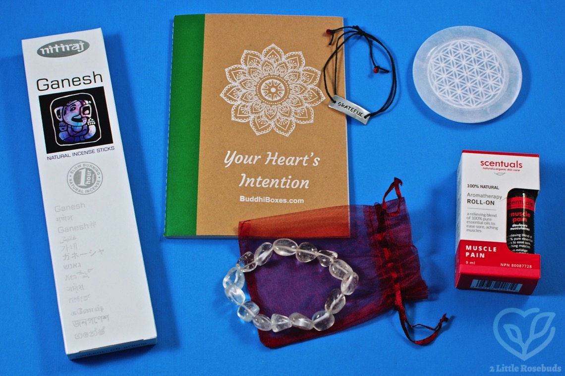 January 2020 Buddhibox review