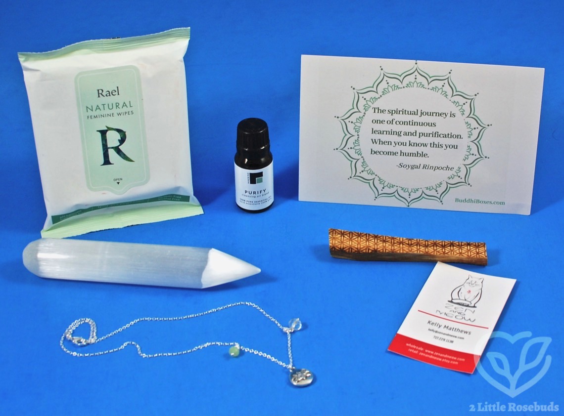 March 2020 Buddhibox review