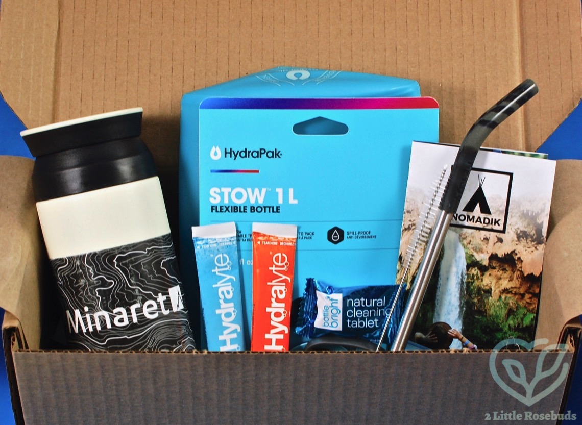 March 2020 Nomadik box review