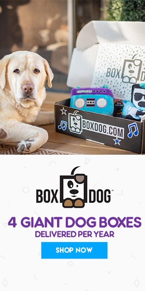 boxdog coupon