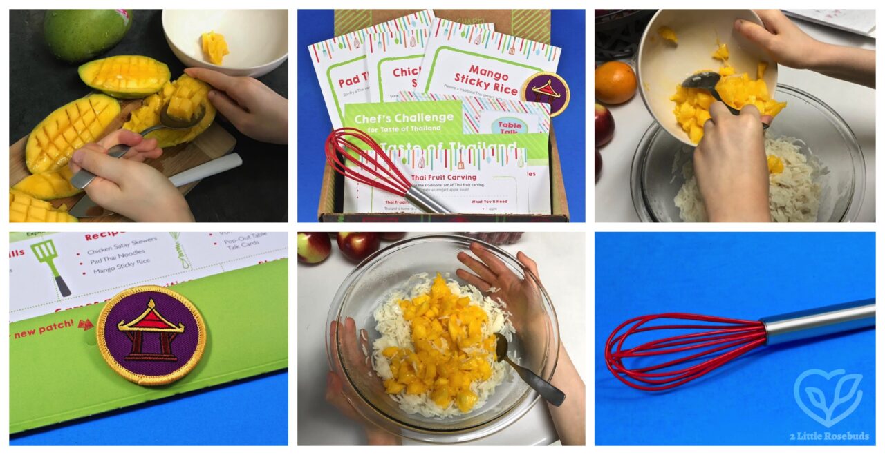 Raddish Kids Thailand box review