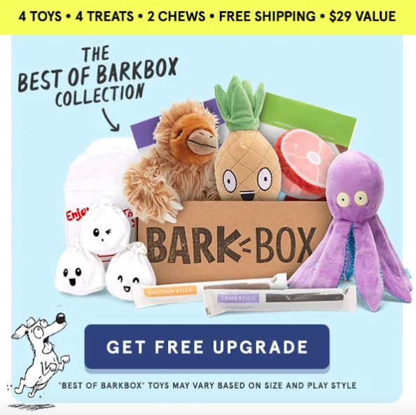 barkbox items