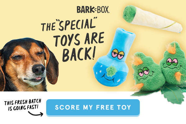 barkbox coupon free toy