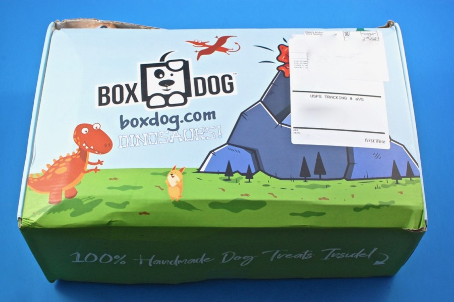 box dog review