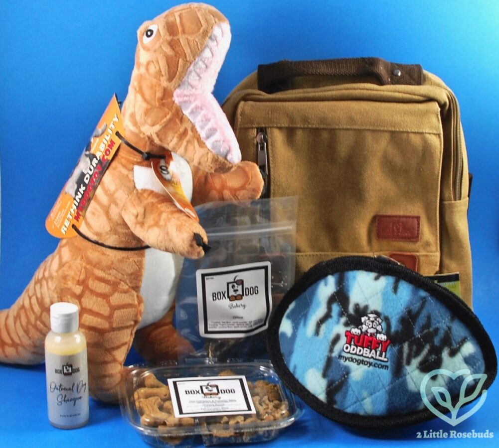 Fall 2020 Box Dog review