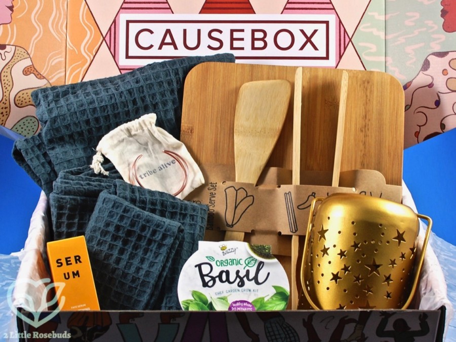 Fall 2020 Causebox review