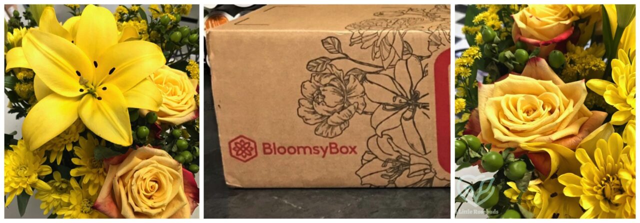 November 2020 BloomsyBox review