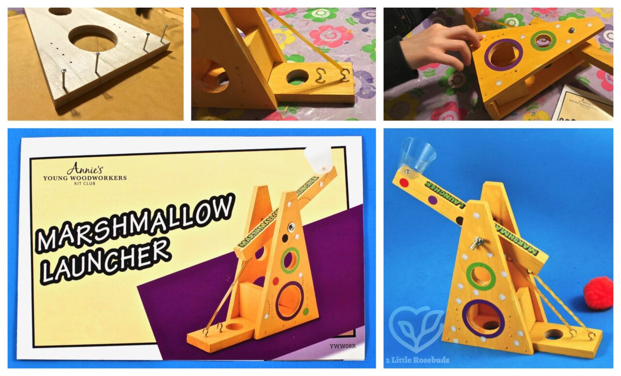 Annie's Young Woodworkers club review