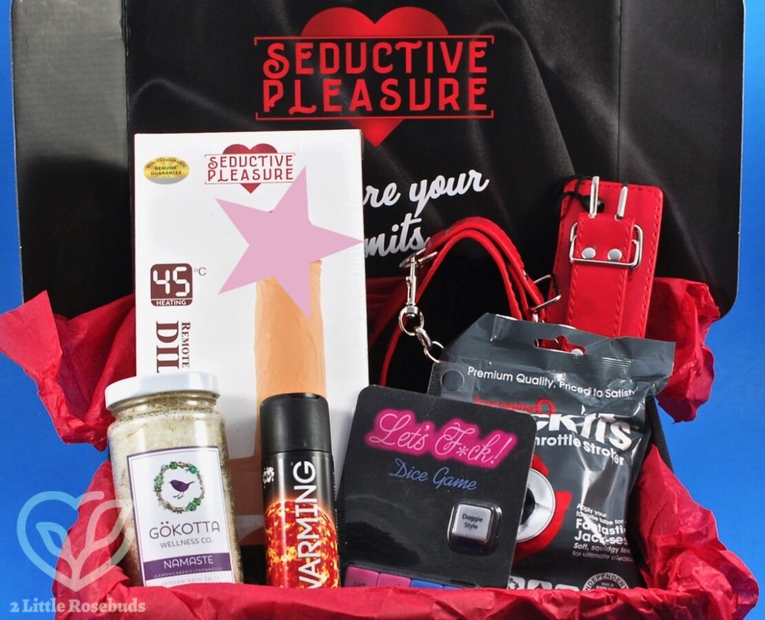 Seductive Pleasure box 2020 review