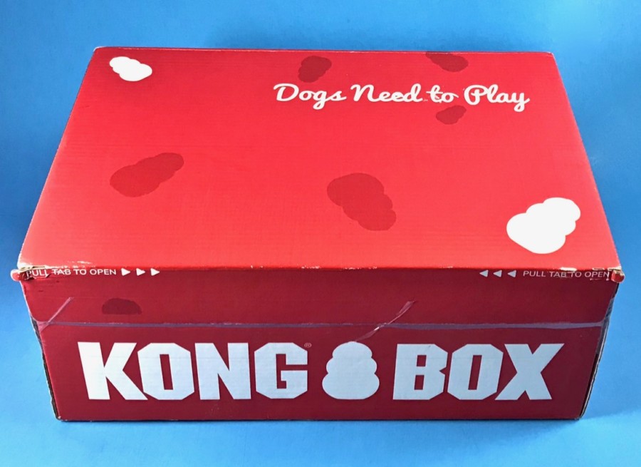 KONG box