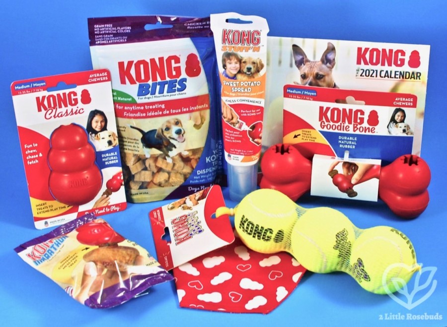 February 2021 KONG Box review