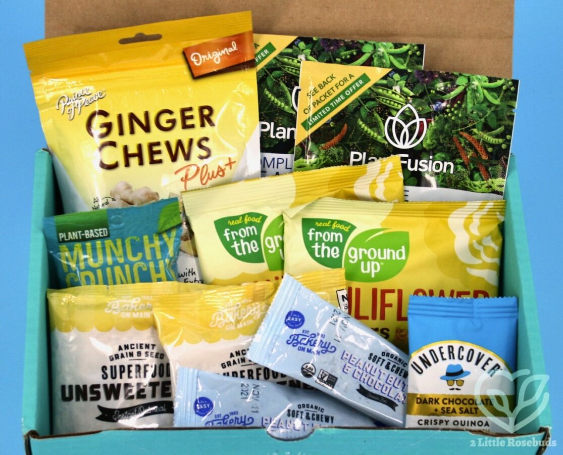 Fit Snack August 2021 box review