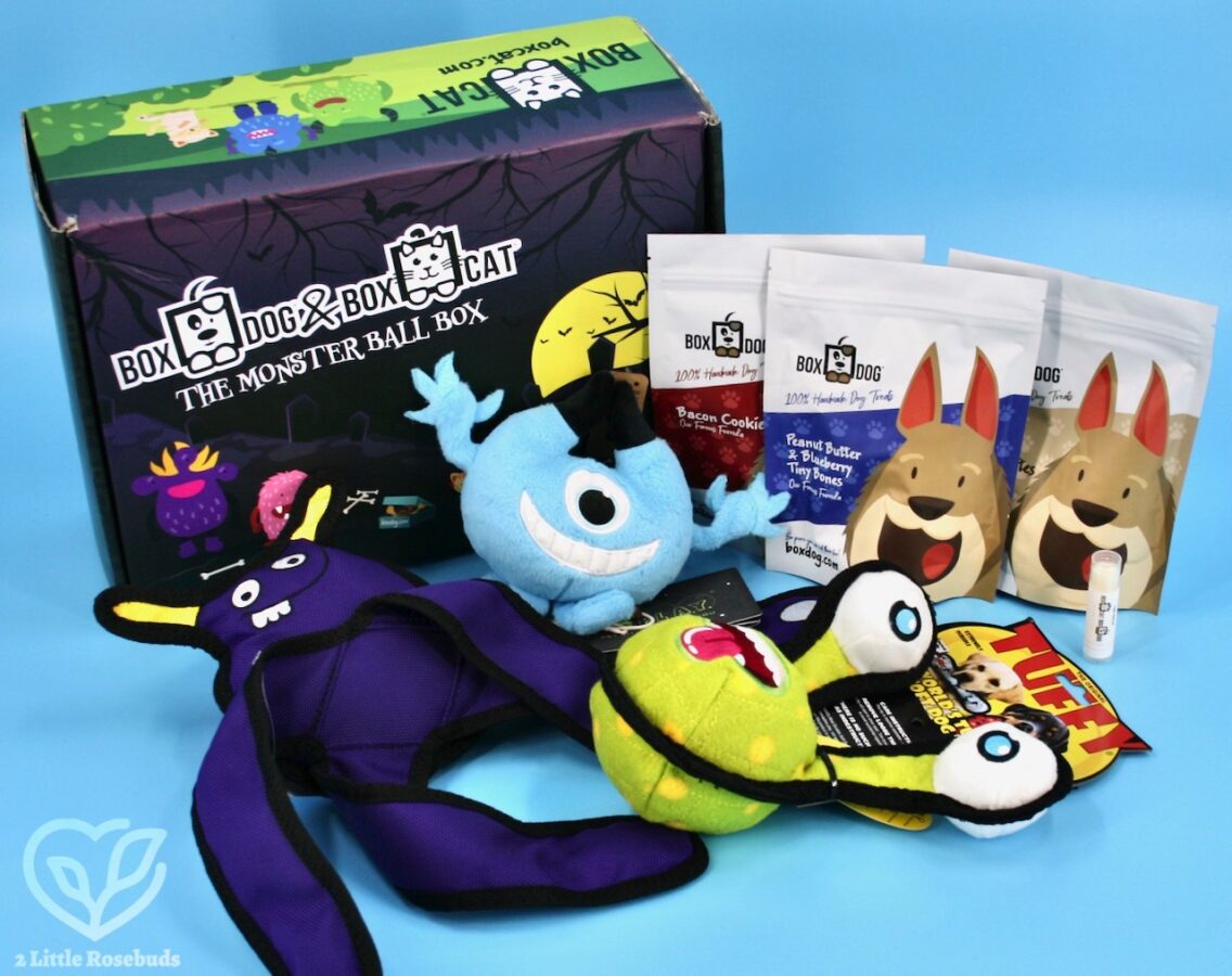 BoxDog October 2021 box review