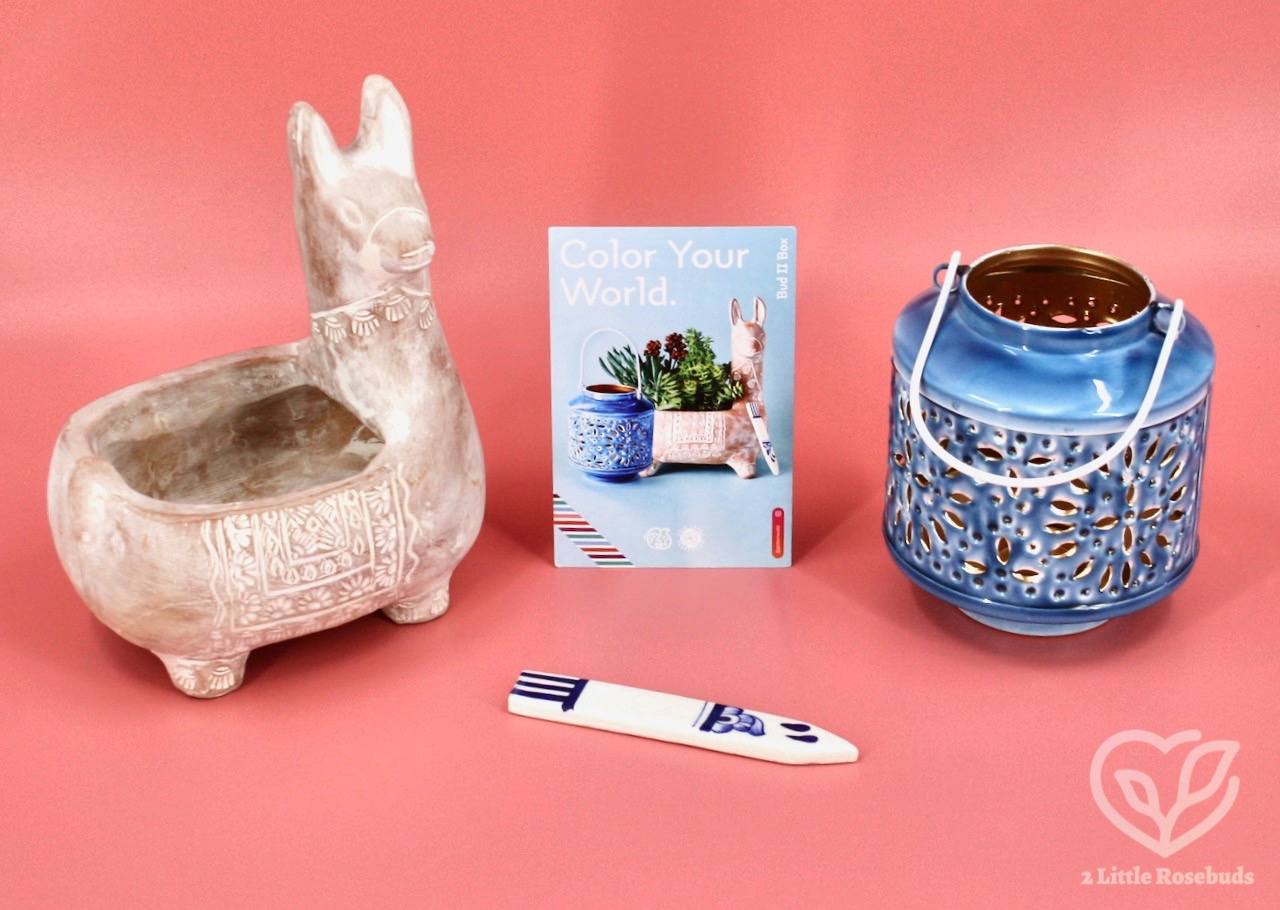 GlobeIn Bud Box review 2022