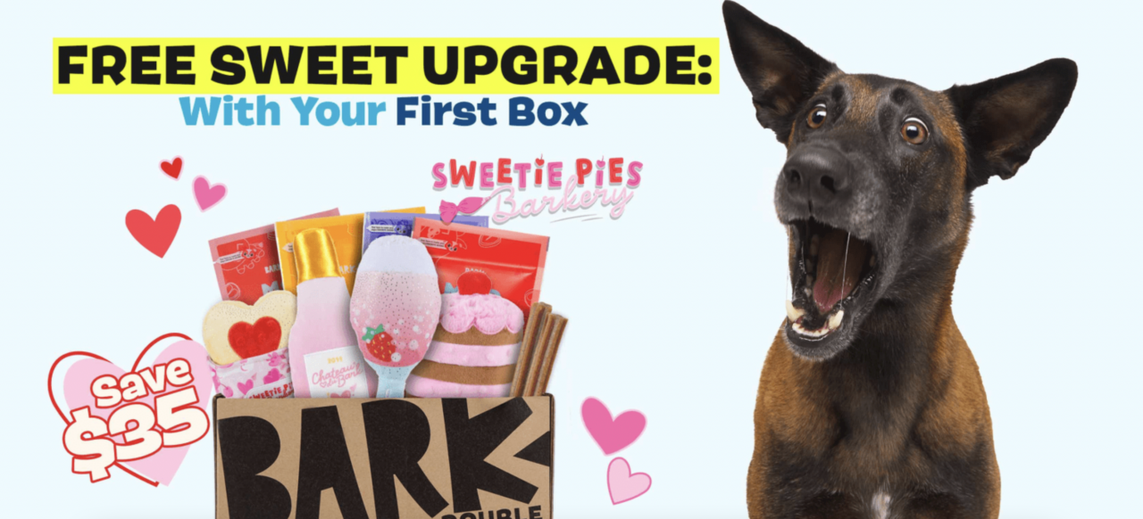 barkbox coupon 2022