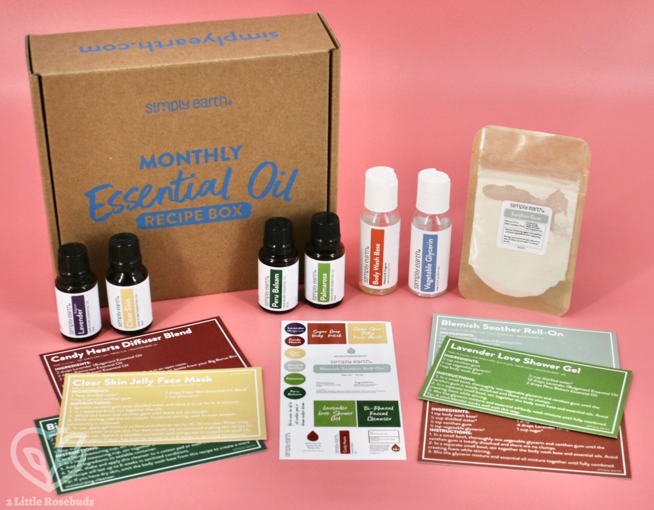 Simply Earth February 2022 review