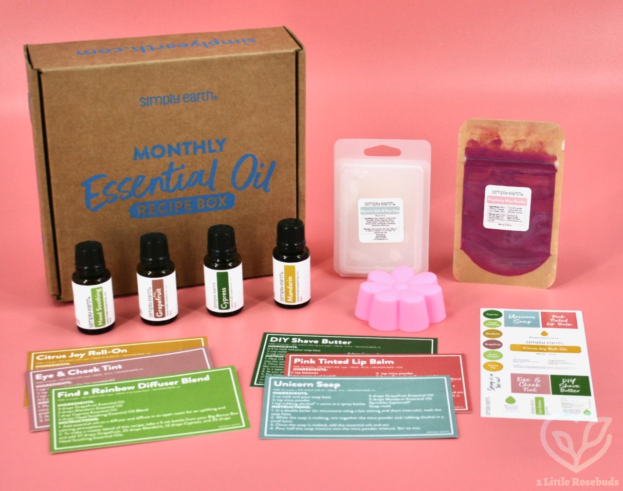 Simply Earth March 2022 review