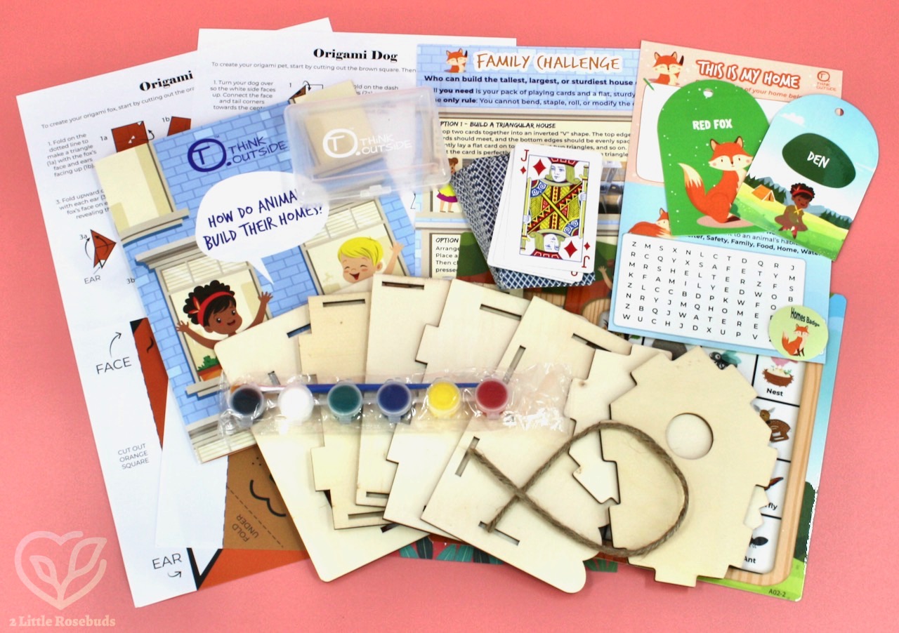 Think Outside Junior box review Homes