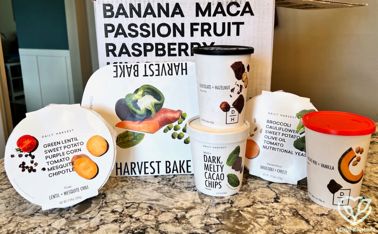 Daily Harvest box review 2022