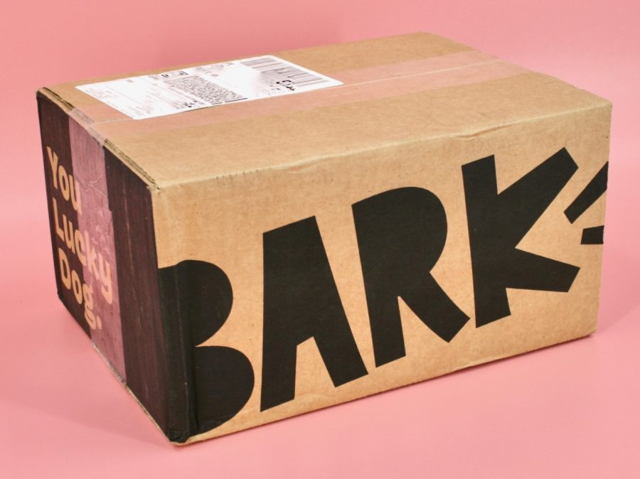 BARK Bright box