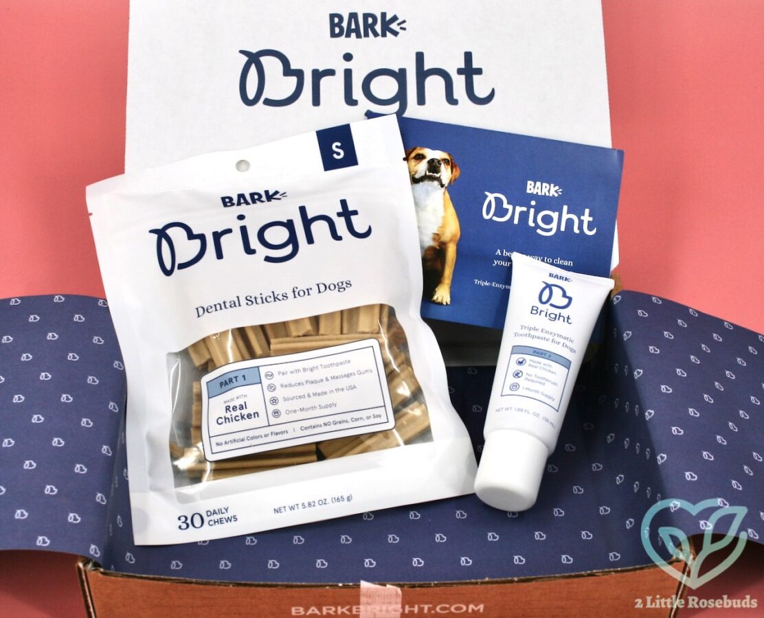 BARK Bright box review 2022