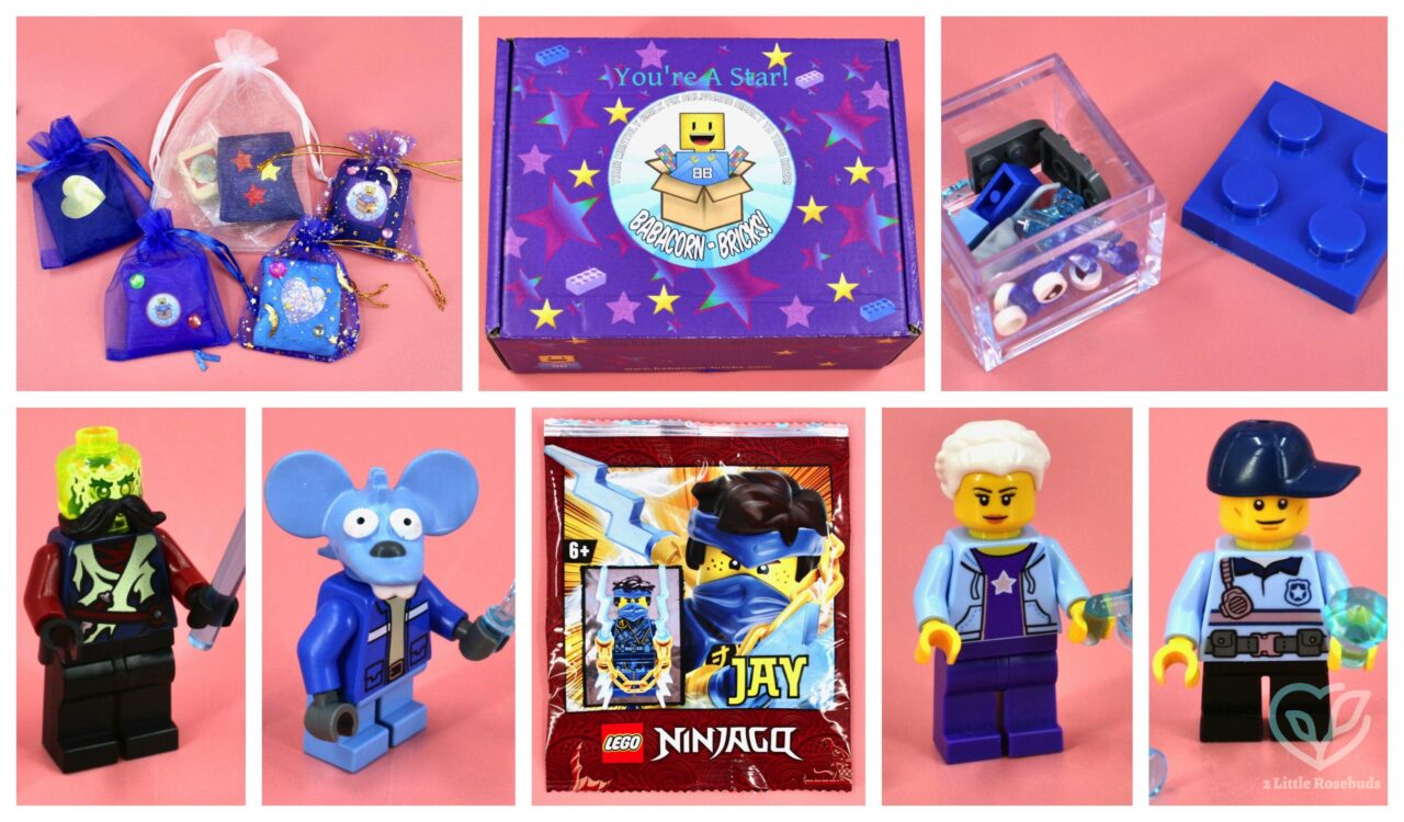 Babacorn Bricks May 2022 review