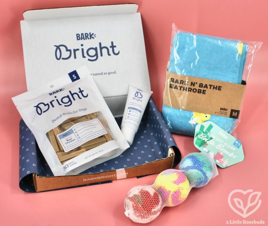 BARK Bright dental box dog review
