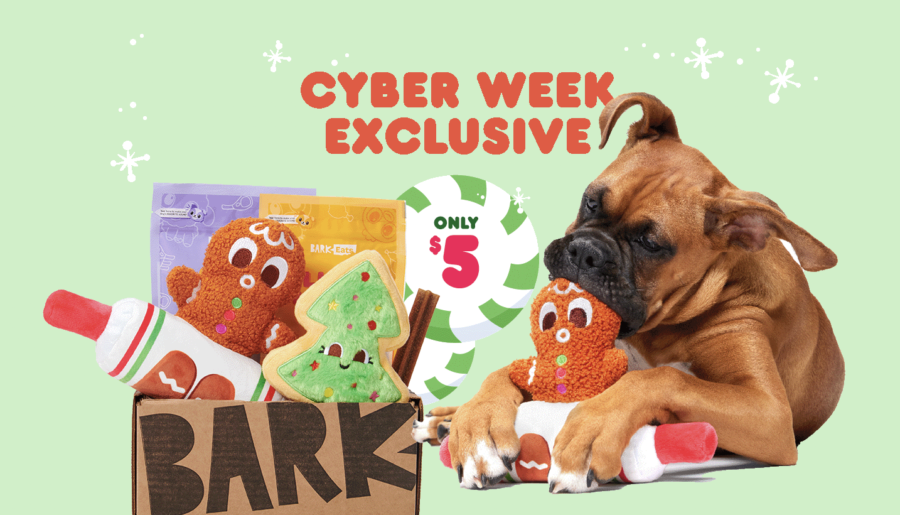 BarkBox coupon code 2022