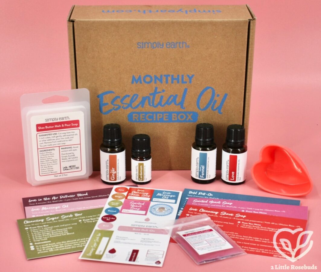 SImply Earth February 2023 review