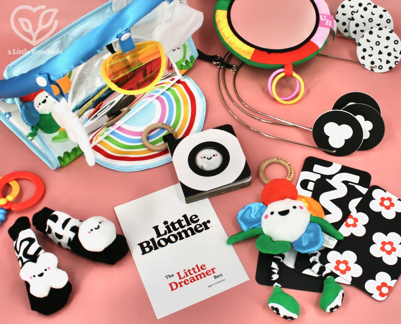 Little Bloomer Little Dreamer box review coupon