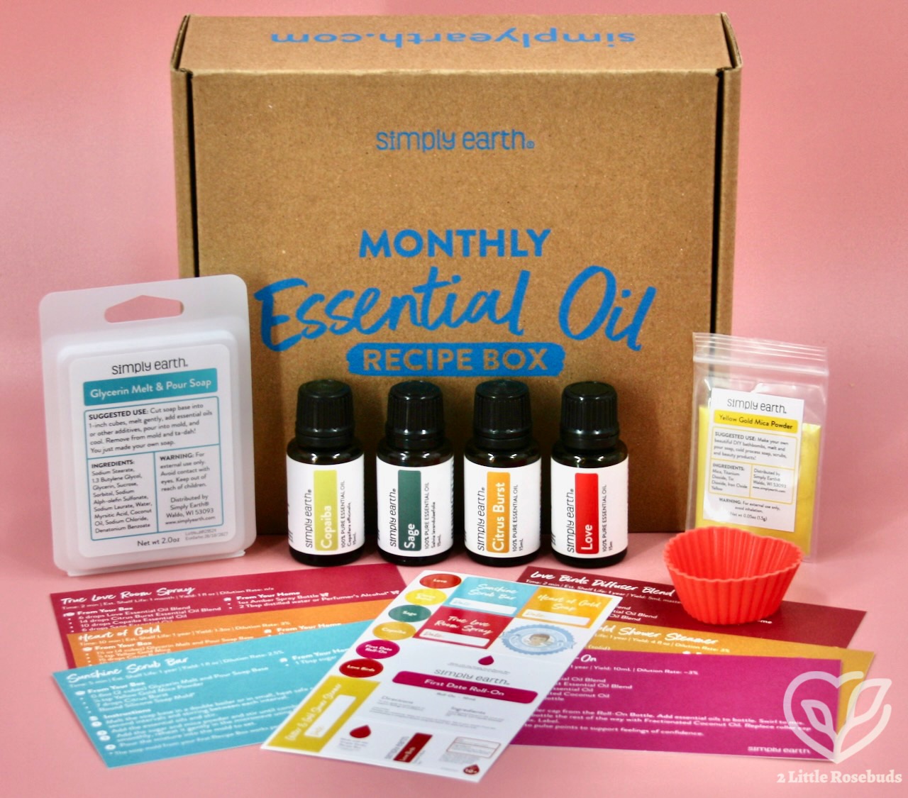 Simply Earth February 2025 review