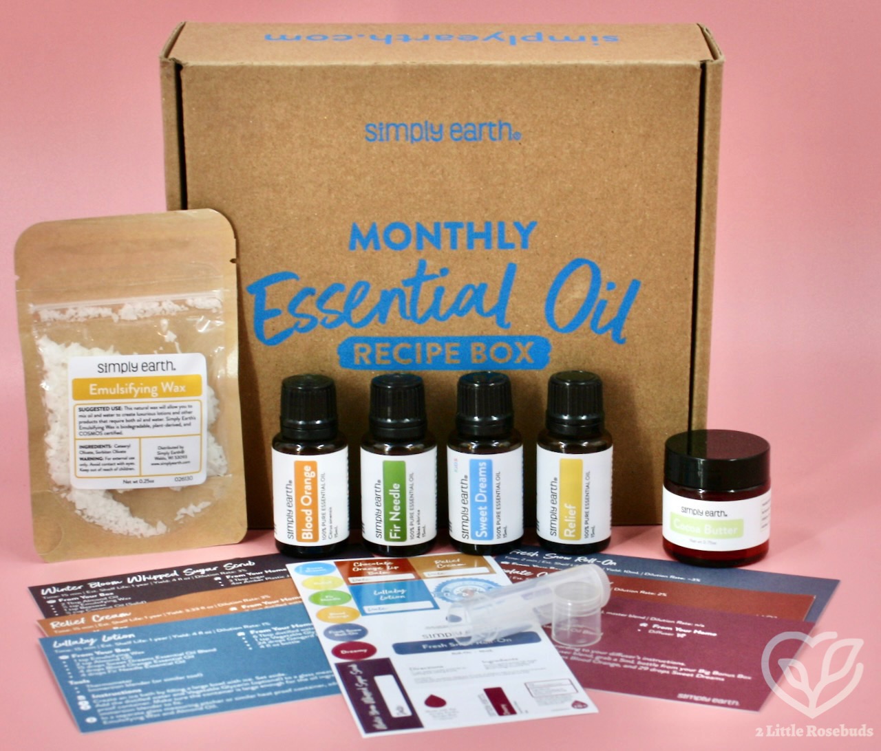 January 2025 Simply Earth review